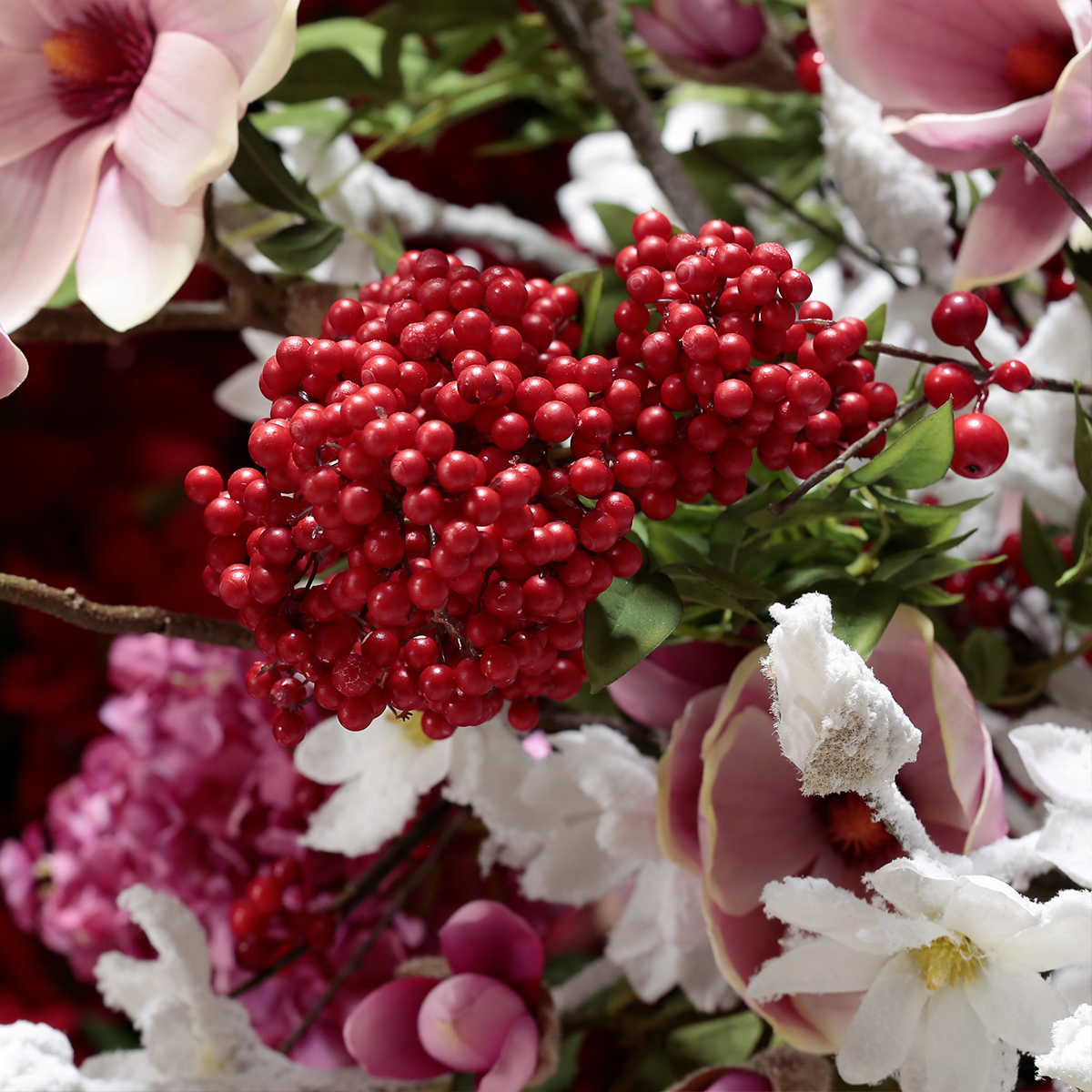 Tige de Magnolia Enneigée