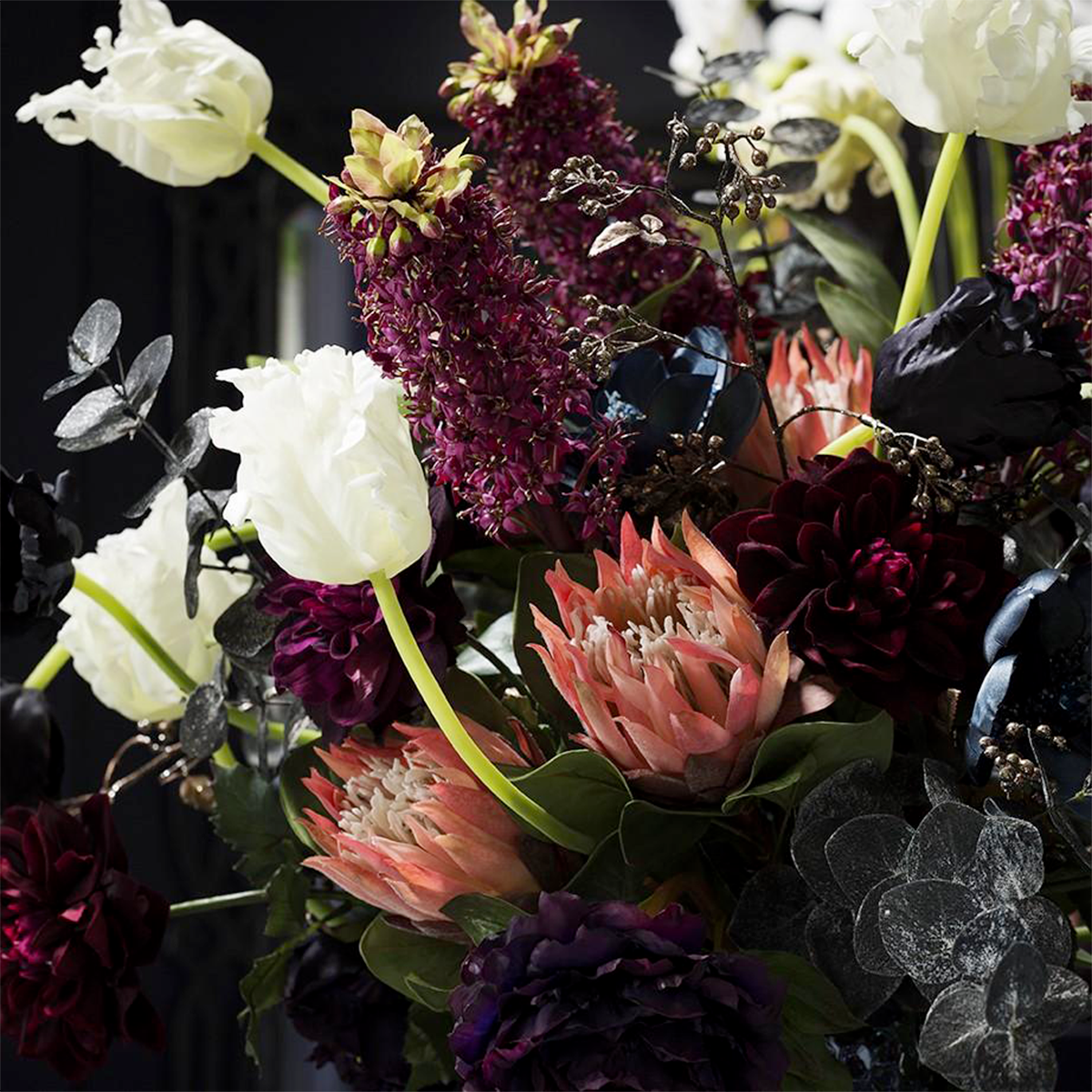 Tige de Tulipe Double Nina