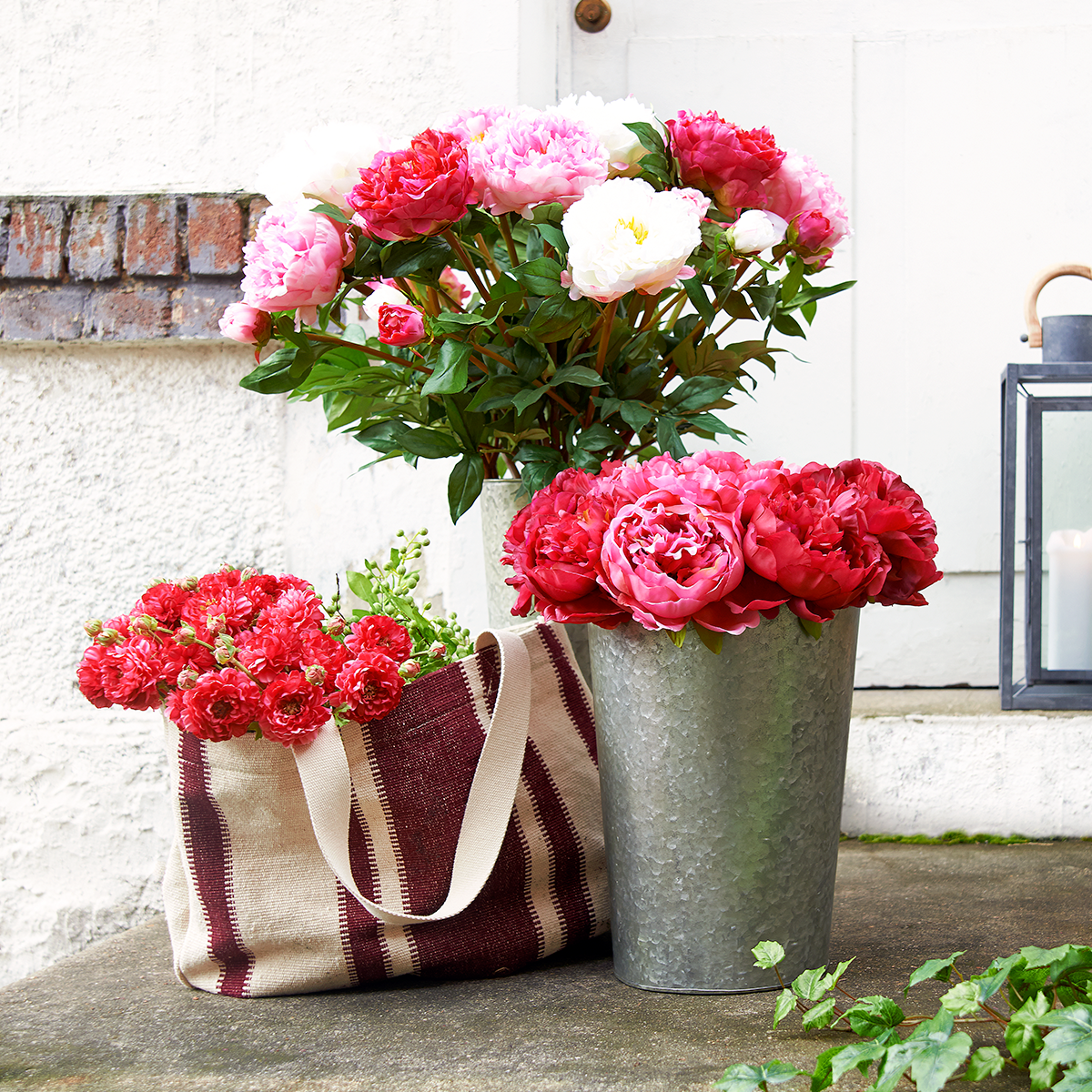 Tige de Pivoine de Jardin