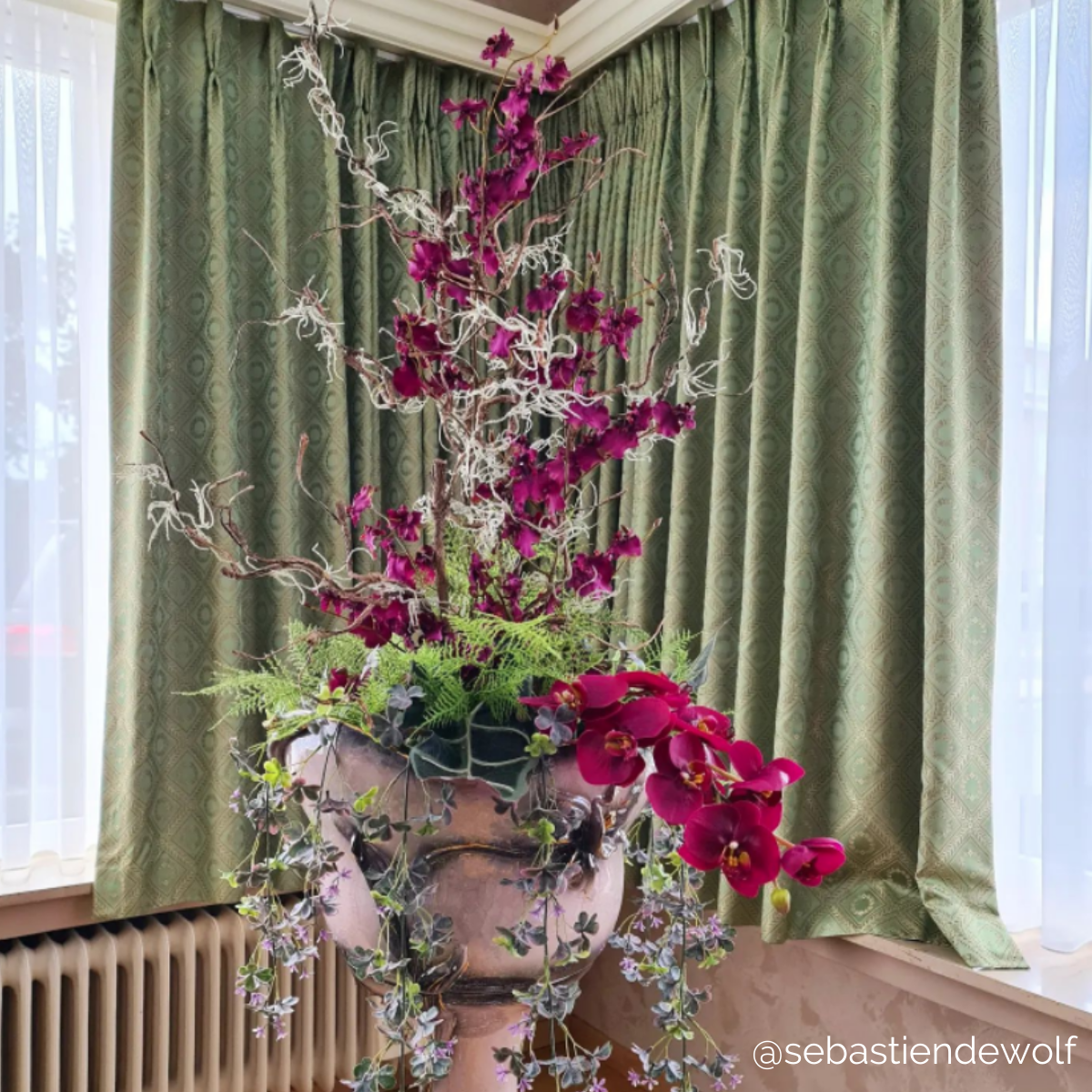 Tige d'orchidée Oncidium