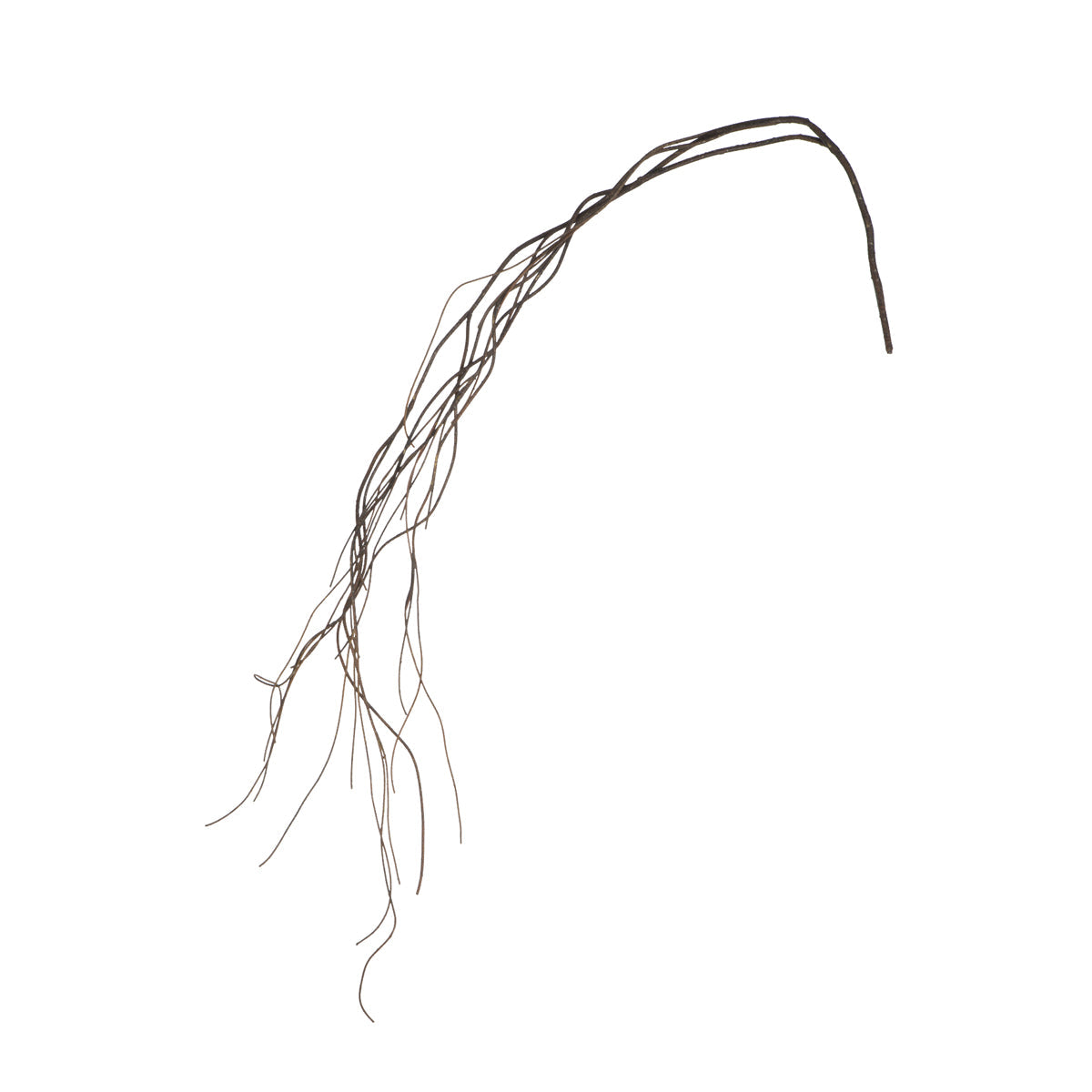 Branche tombante effet bois séché