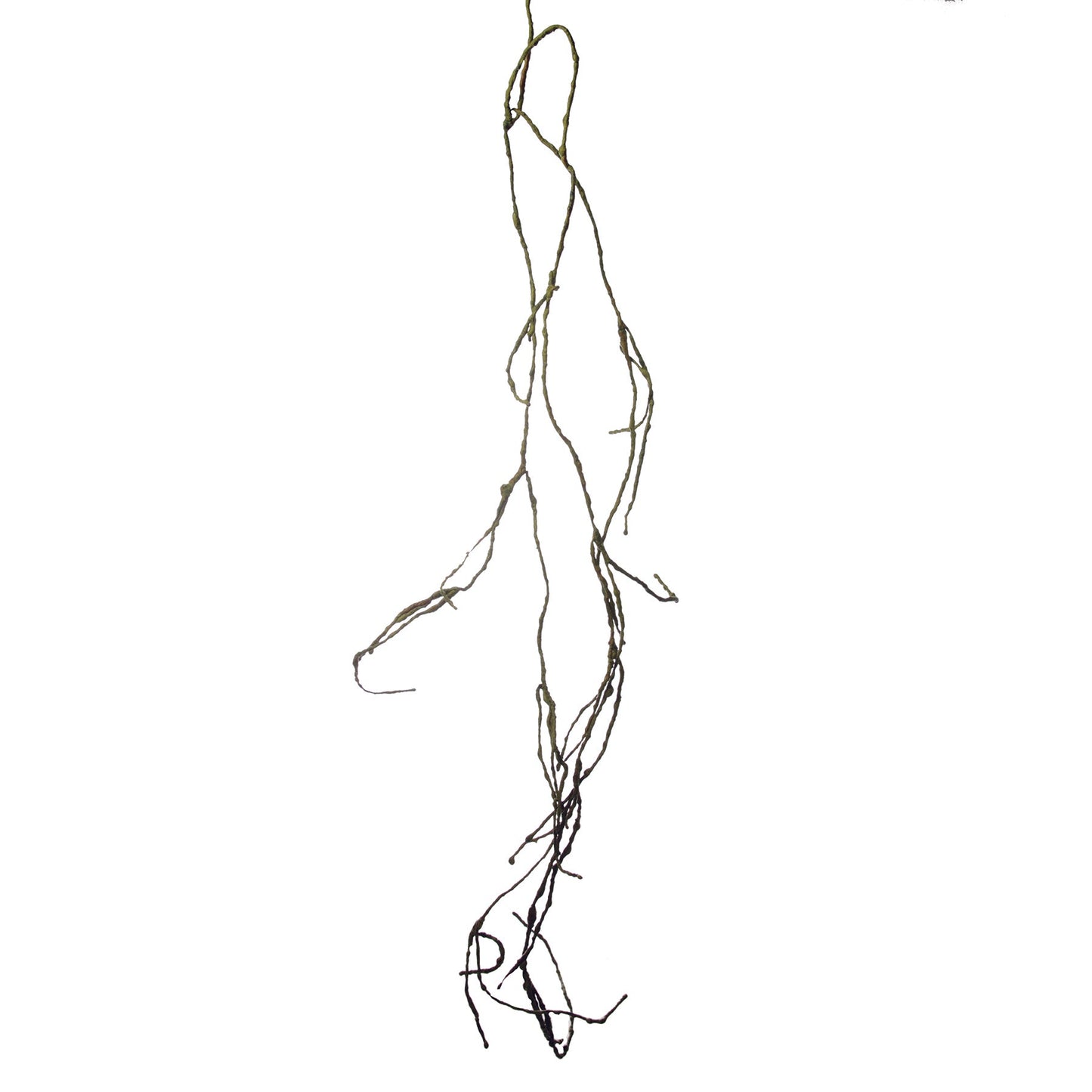 Branche Effet Séché