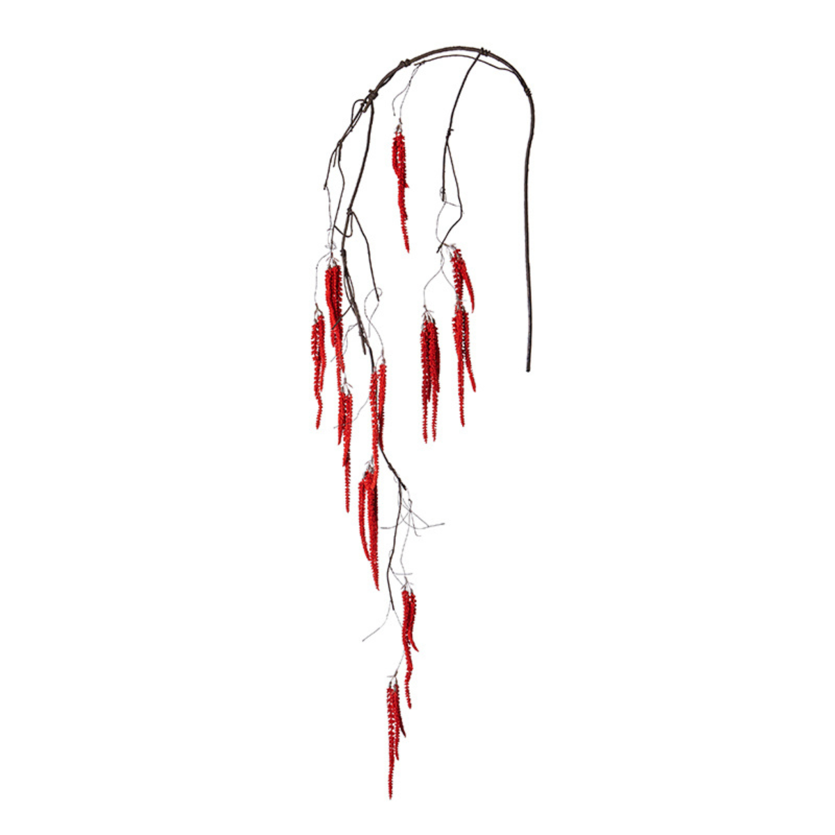 Feuillage d'Amarante Cascade