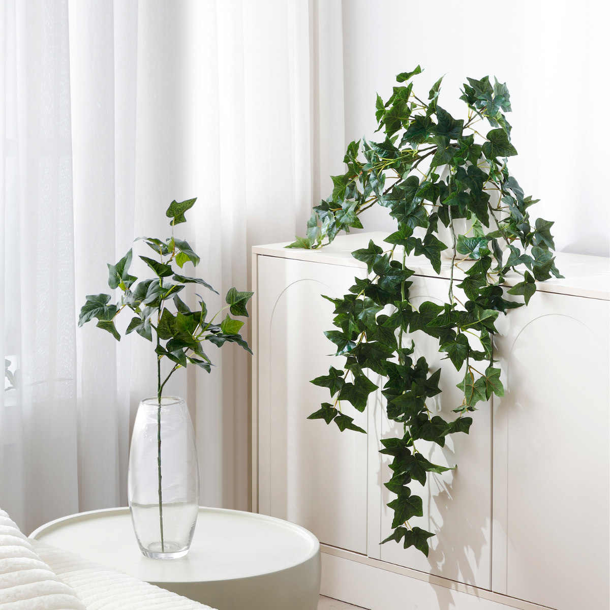 Feuillage de lierre anglais