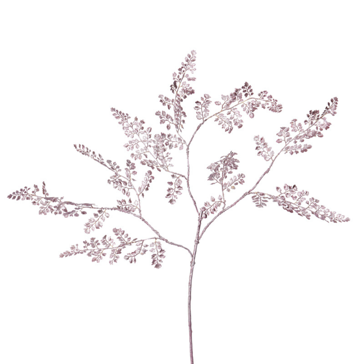 Feuillage de Fougère Effet Métallique