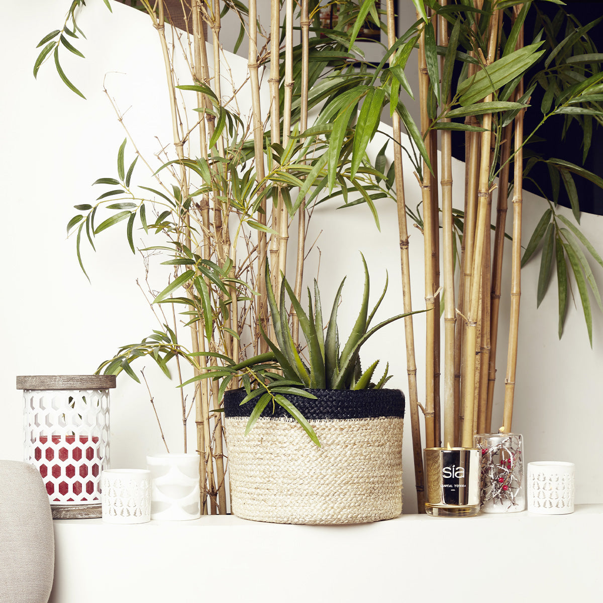 Photophores Sapins de Noël Petit Format