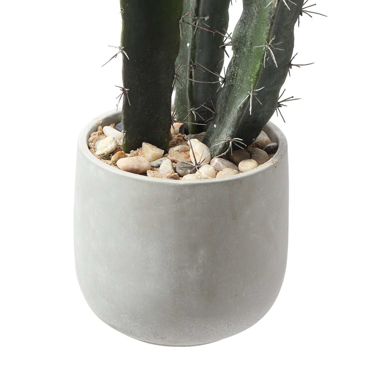 Cactus dans un pot en céramique de 80 cm