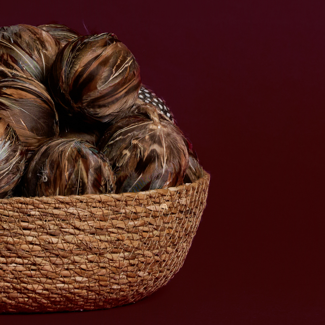 Boule de Noël à Plumes