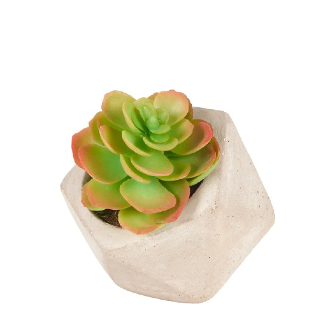 Succlente artificielle Echeveria en pot