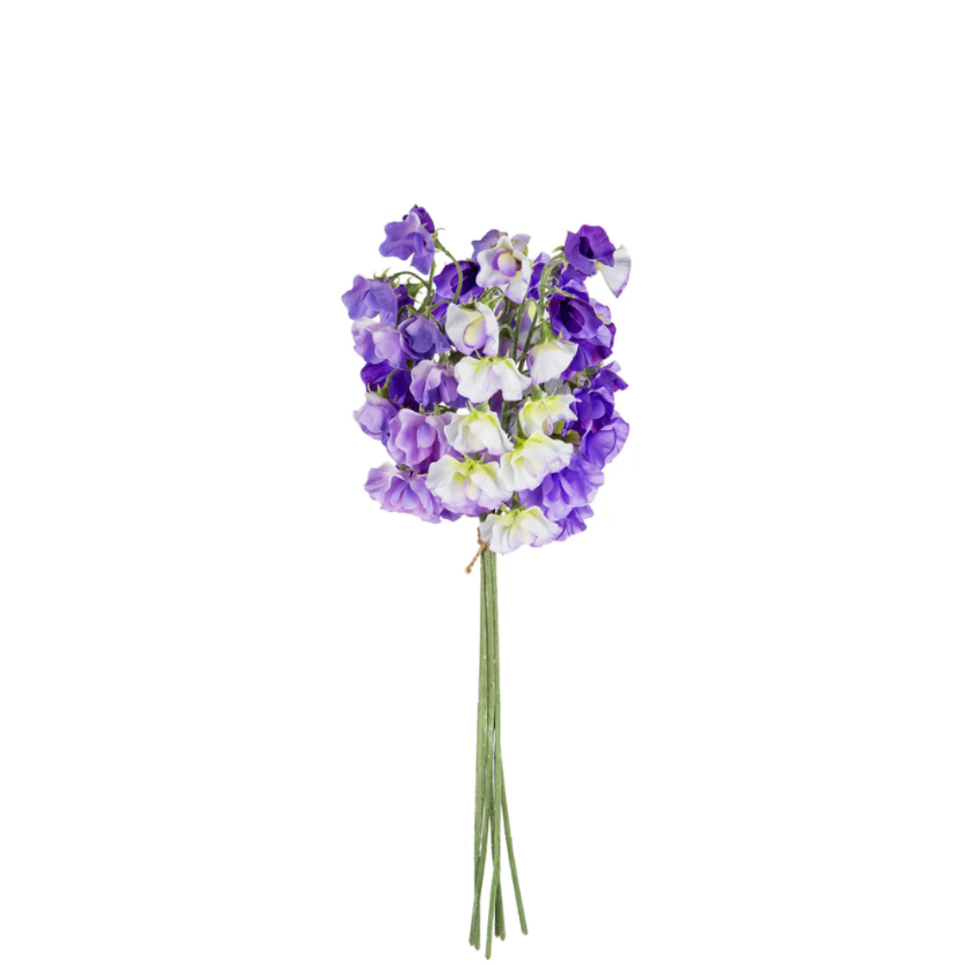 Bouquet de Pois Senteur