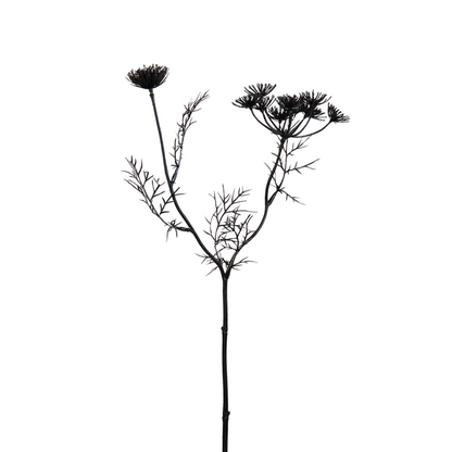 Tige de Carotte Sauvage