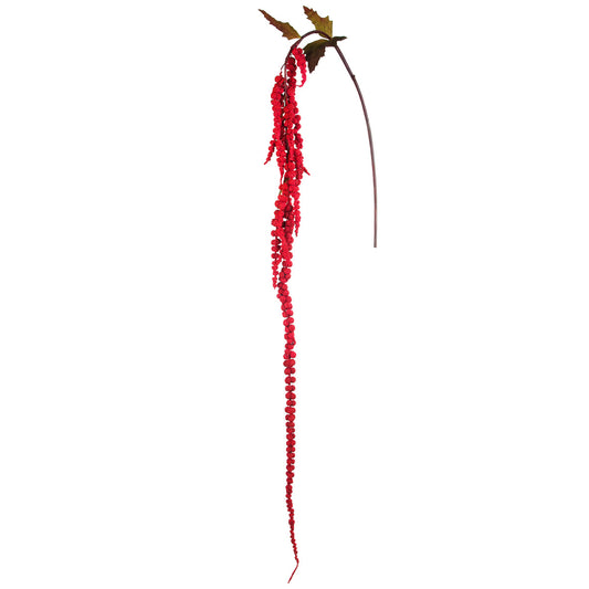 Feuillage Amarante Tombante