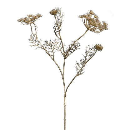 Tige de Carotte Sauvage