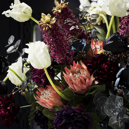 Tige de Tulipe Double Nina