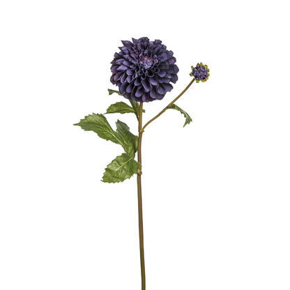 Tige de Dahlia Bonnie