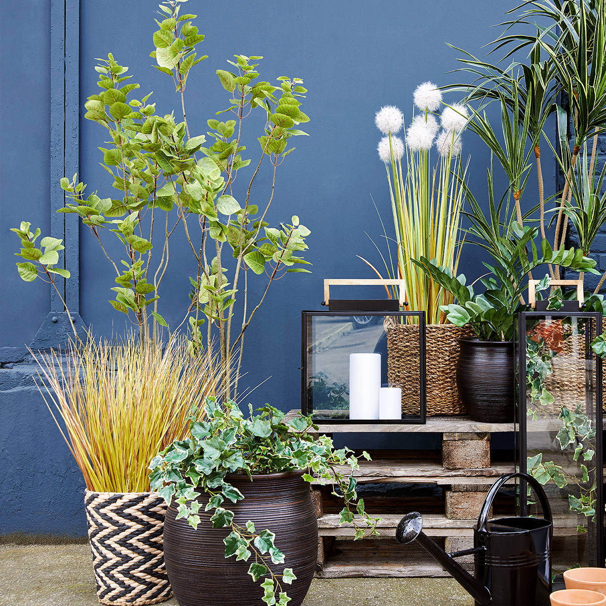 Feuillage d'herbe à oignon