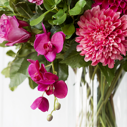 Tige d'Orchidée Phalaenopsis Forever