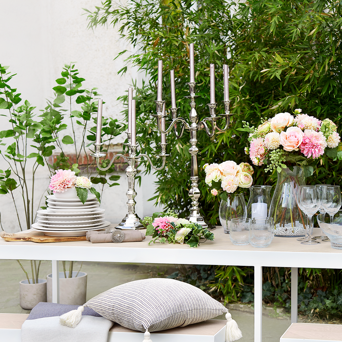 Tige de Dahlia Bonnie