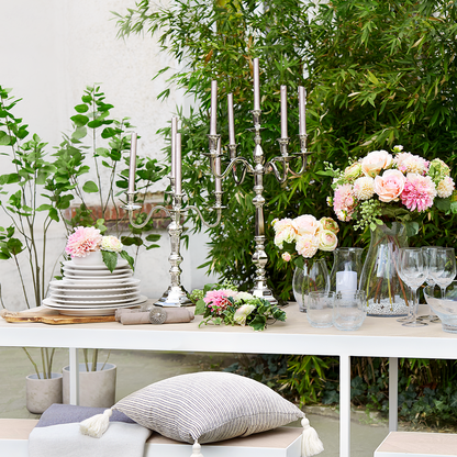 Tige de Dahlia Bonnie