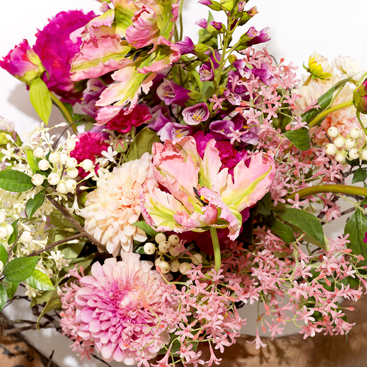 Tige de Dahlia Andreas