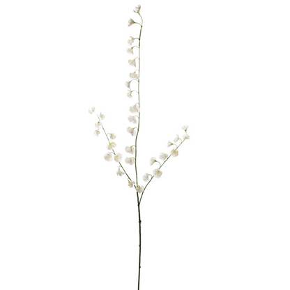 Tige de pois de senteur