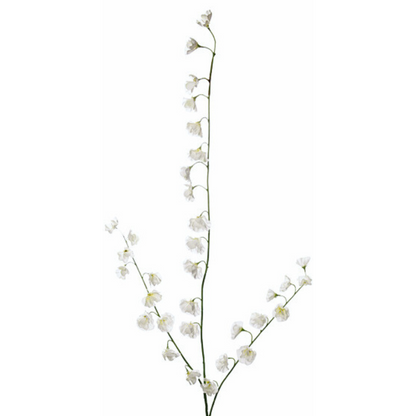 Tige de pois de senteur