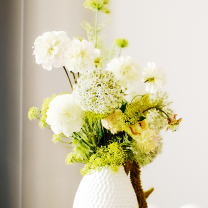 Tige de Renoncule Mathilda