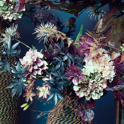 Tige de chardon avec feuilles