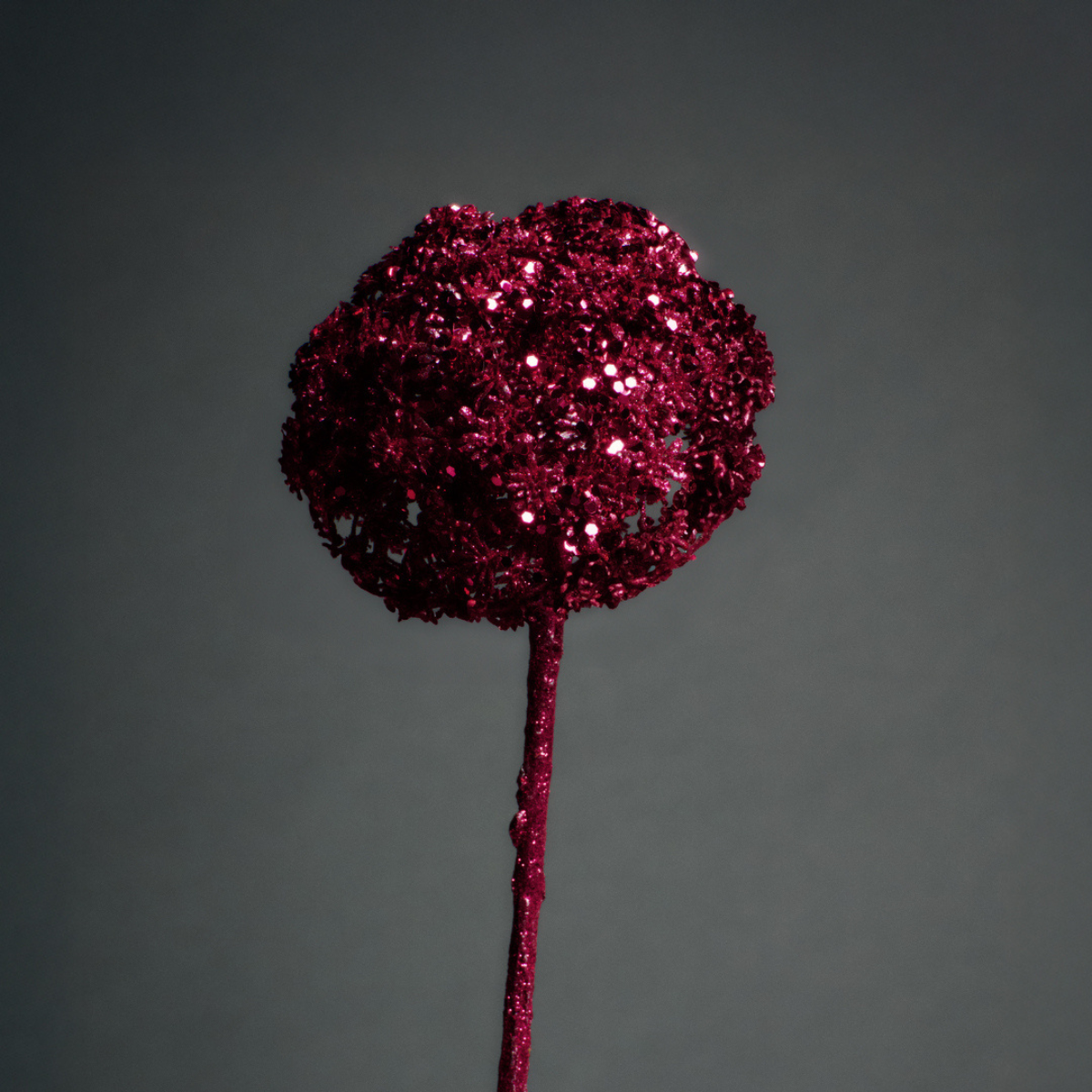 Tige d'Allium Pailleté Azia