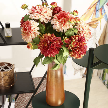 Tige de Dahlia Denitsa