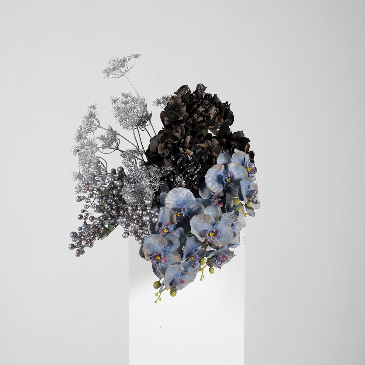 Tige d'Orchidée Phalaenopsis Glitter