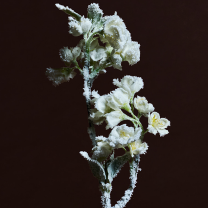 Tige de Cerisier des Neiges