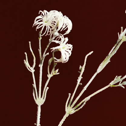 Tige de Clématites Enneigées Petit format