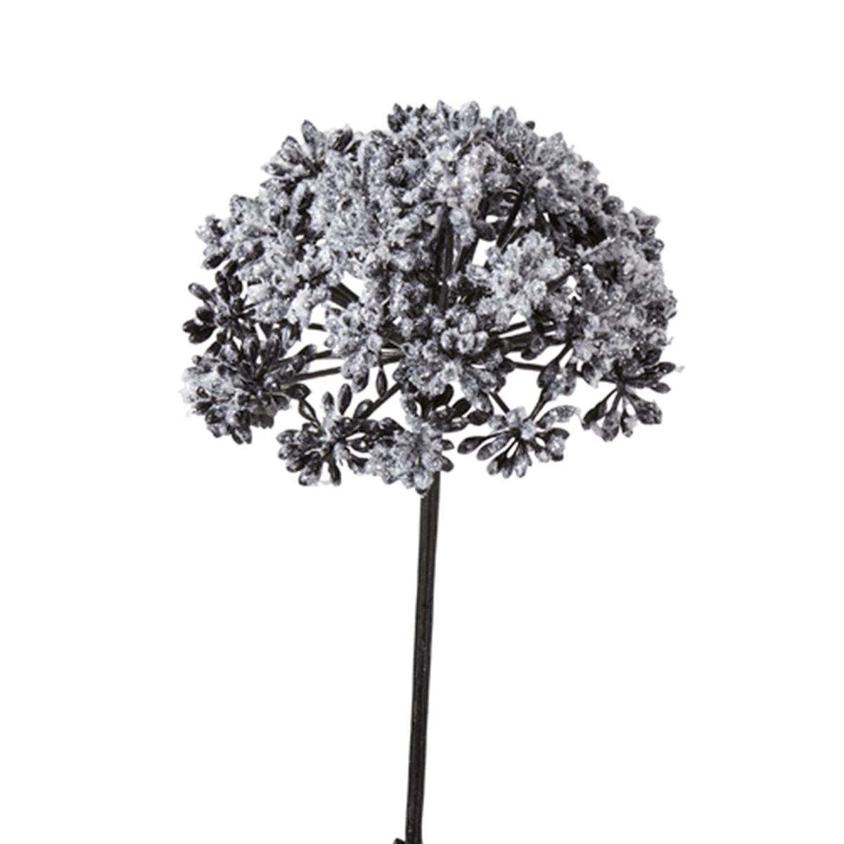 Tige d'Angélique Pailletée