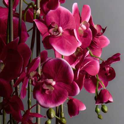 Orchidée Artificielle en Terre Très Grand Format