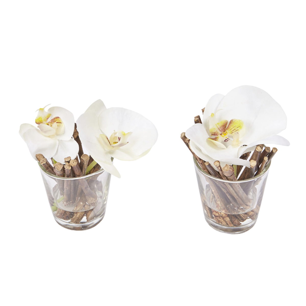 Orchids Artificiales en Illusion d'Eau Sissi