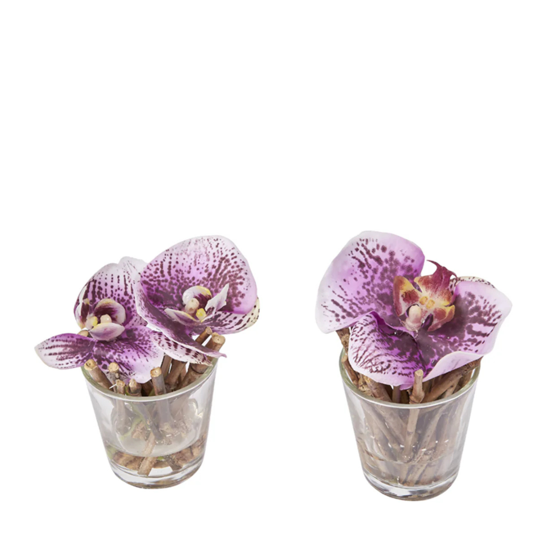 Orchids Artificiales en Illusion d'Eau Sissi