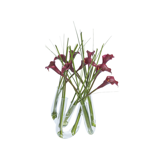 Composition d'Arums en Illusion d'Eau