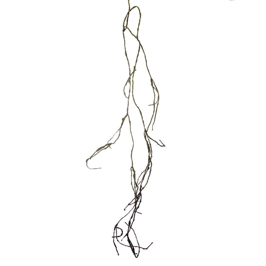 Branche Effet Séché