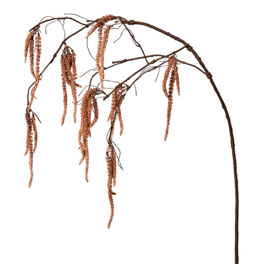 Feuillage Amarante Tombante