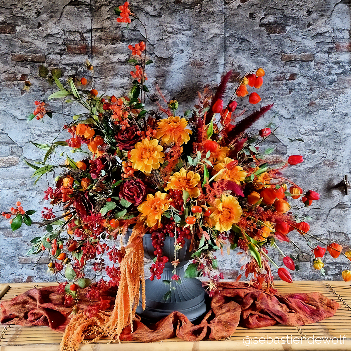 Branche d'Églantier