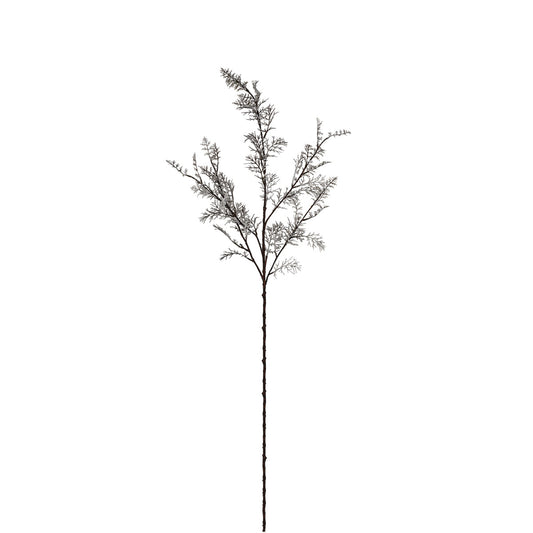 Branche enneigée de Noël