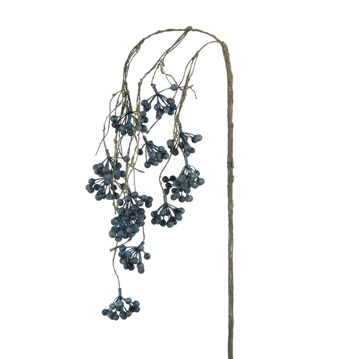 Branche de Baies tombantes