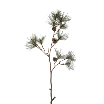 Branche de pin enneigée