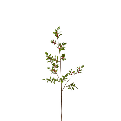 Branche de Baies avec Feuilles