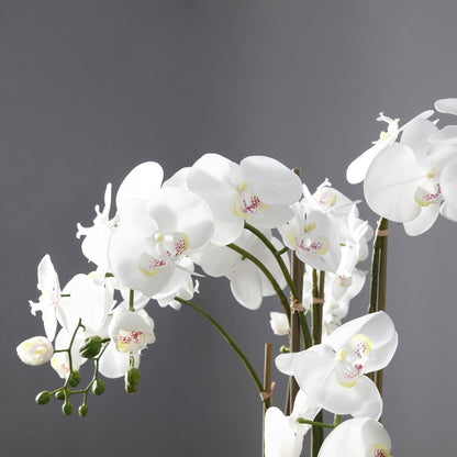 Orchidée artificielle en terre, grand format
