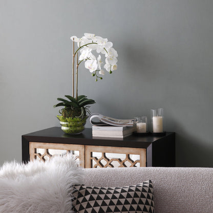 Orchidée artificielle en terre, petit format