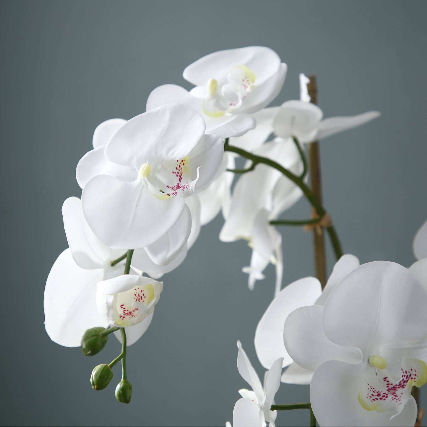 Orchidée artificielle en terre, petit format