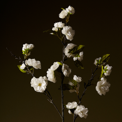 Tige de Fleurs de Cerisier