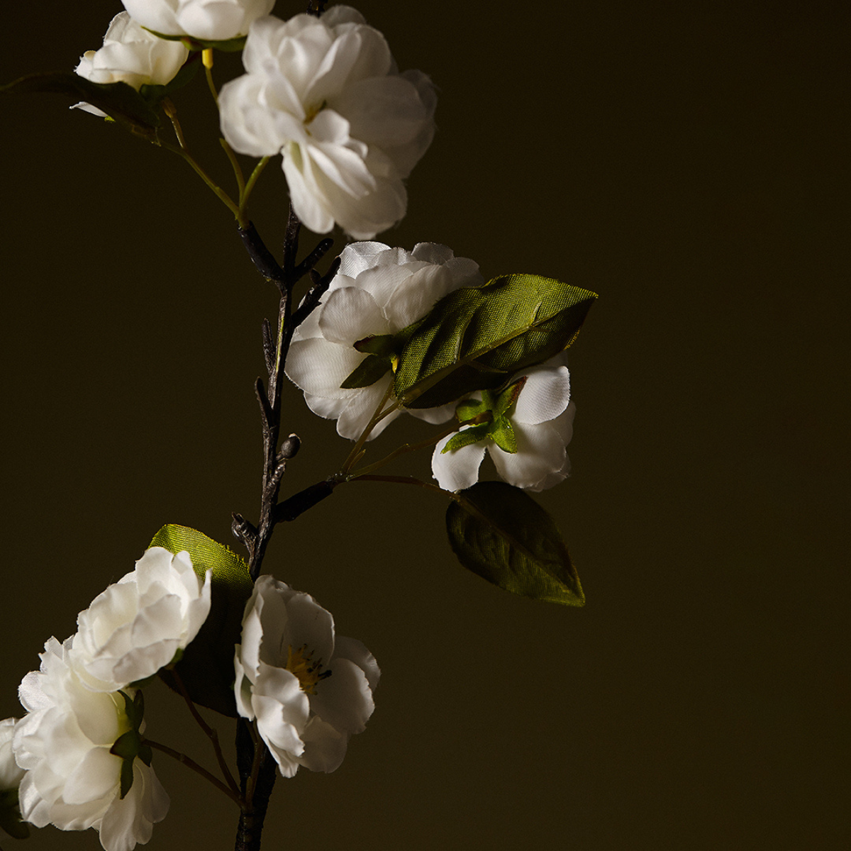 Tige de Fleurs de Cerisier